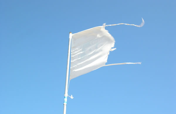 Fiera Bologna: sul ponte (della Giunta Merola) sventola bandiera bianca