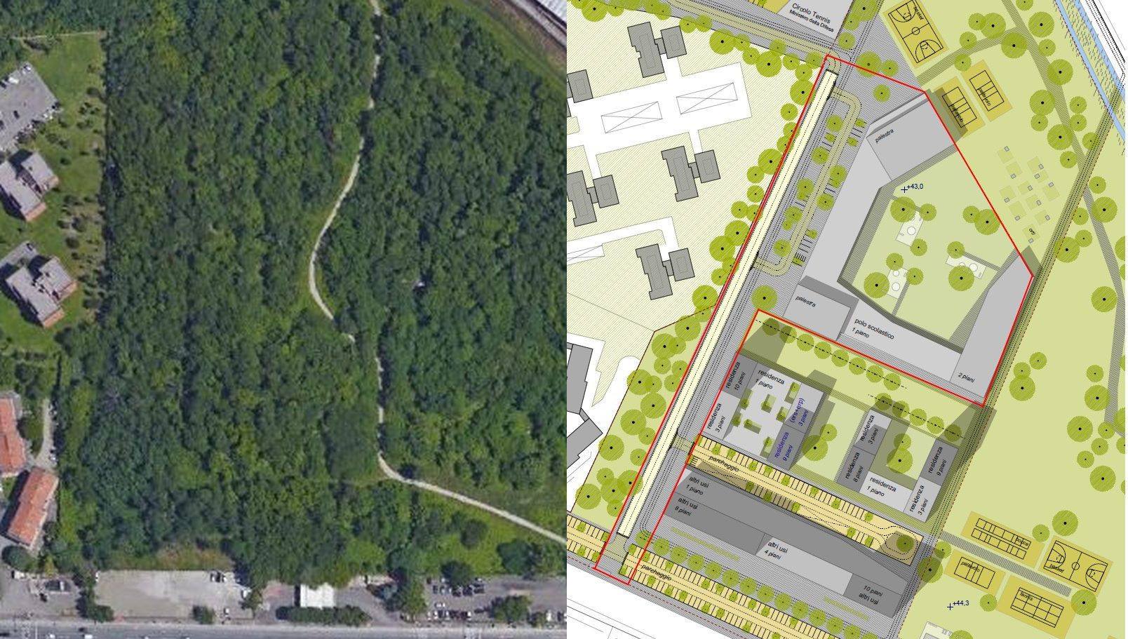 Prati di Caprara, trova le differenze: sono cominciati gli abbattimenti di alberi. Le risposte della Orioli non convincono