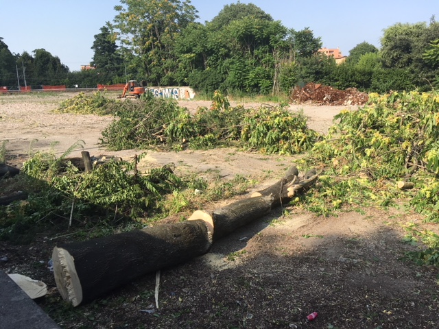 In via Libia stanno tagliando gli alberi. Sono iniziati i lavori del supermercato Lidl?