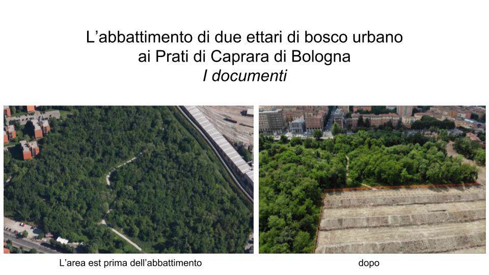 Prati di Caprara: i documenti