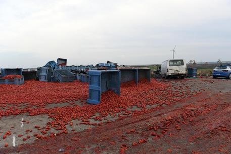 Dopo i morti di Foggia, oggi lo sciopero dei braccianti