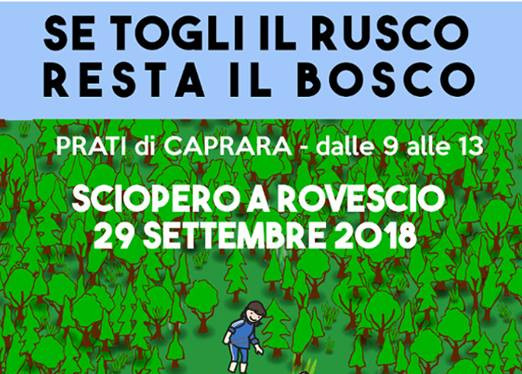 Prati di caprara: presidio all’ex Cierrebi e sabato “Togli il rusco e salva il bosco, azione collettiva di pulizia del Bosco”