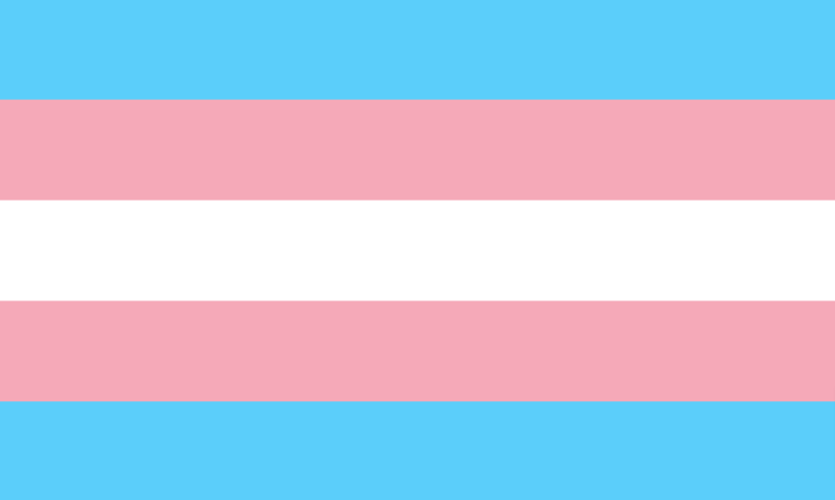 31 marzo: Giornata internazionale della visibilità transgender.