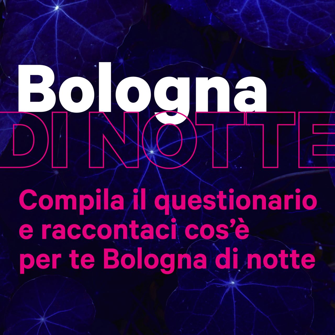 Piano per l’economia della notte: ecco il questionario!