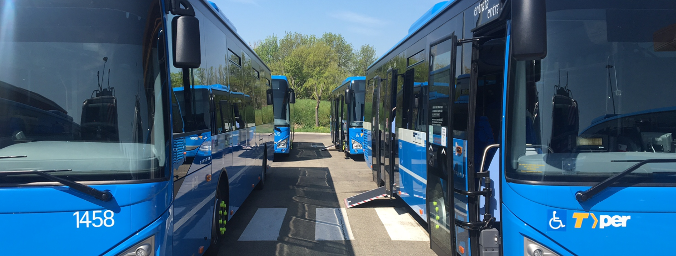 Al via i bus notturni su quattro linee del SFM!